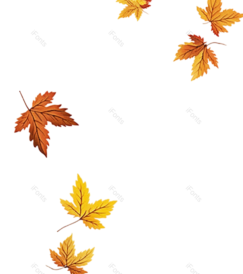 叶子图片,秋天元素,简约PNG,枫叶免抠素材